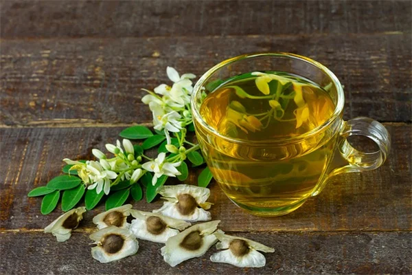 紫陽花の庭づくり実践5つの方法と、絶対に避けるべき失敗3つ