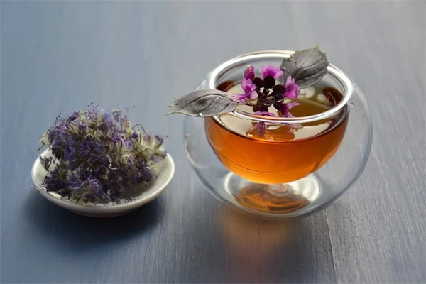 キク科の花って実は花じゃない！？知って得する見分け方と育て方のコツ